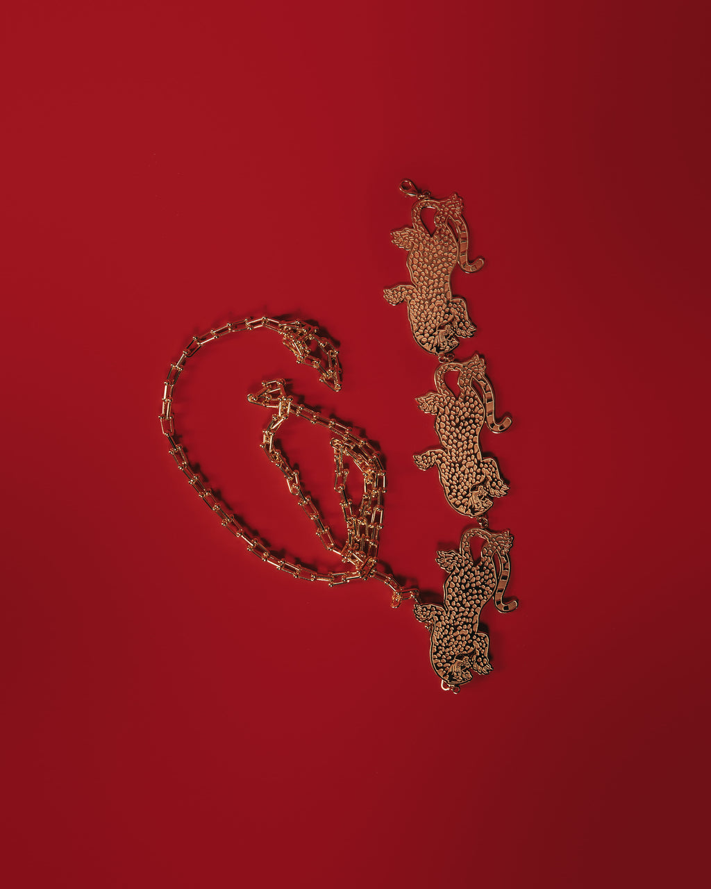 The Tiger - Gold Belt - 3